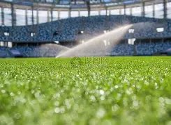 林加德闪耀,首尔战场,一射两传助,C7娱乐,C7娱乐APP,C7娱乐官方,C7娱乐官网,C7娱乐入口,C7娱乐登录,C7娱乐链接