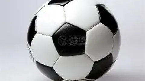 【惊喜大放送】探索罗萨里奥的无偿秘境！